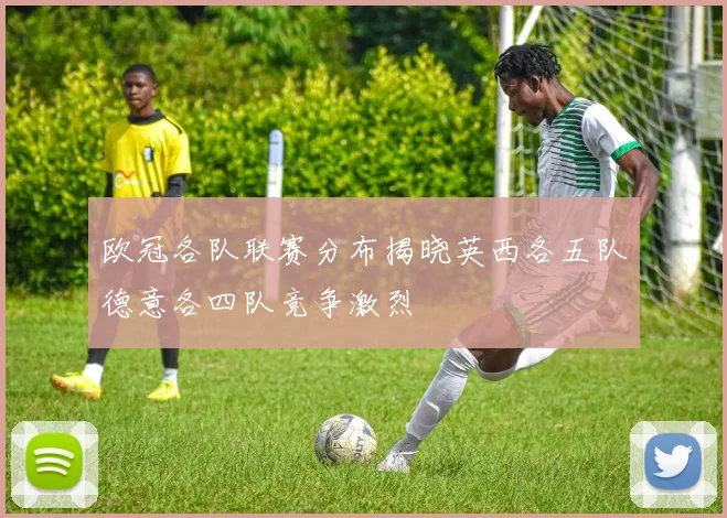 欧冠各队联赛分布揭晓英西各五队德意各四队竞争激烈