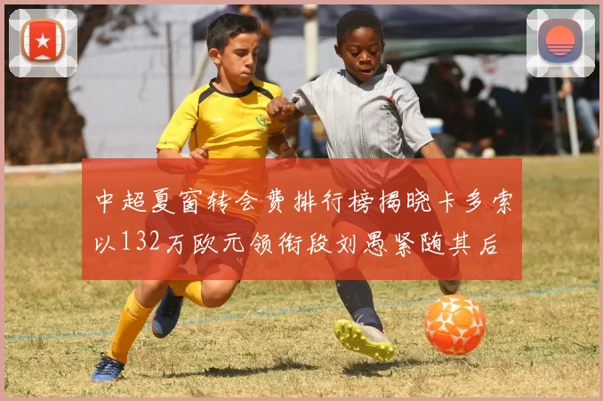 中超夏窗转会费排行榜揭晓卡多索以132万欧元领衔段刘愚紧随其后