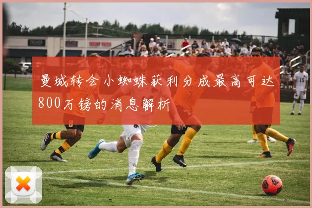 曼城转会小蜘蛛获利分成最高可达800万镑的消息解析