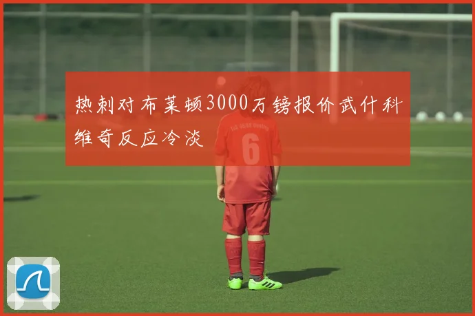 热刺对布莱顿3000万镑报价武什科维奇反应冷淡