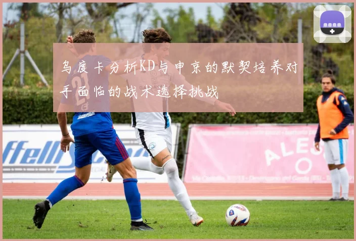 乌度卡分析KD与申京的默契培养对手面临的战术选择挑战